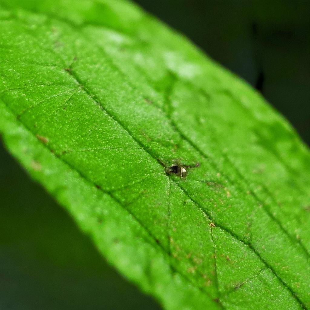 琼中环卫专用生物降解垃圾袋生产厂家：为海南环保事业贡献力量