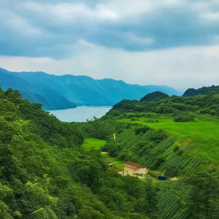 海南降解物业垃圾袋降解时间：环保新选择，助力绿色海南